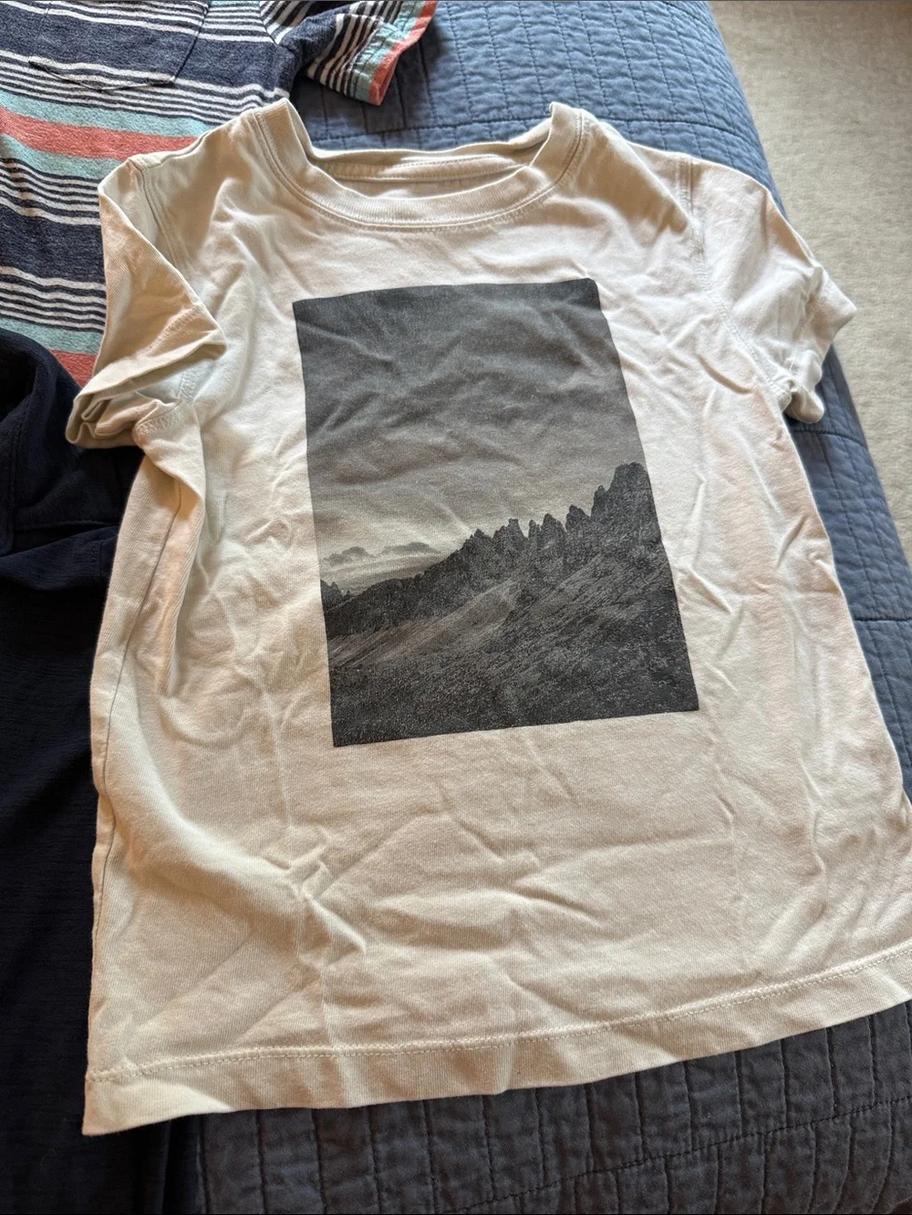 9 Boys Tshirts + 1 Sleeveless. Size 5T-XS
